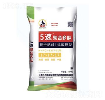 ������͏�(f��)�Ϸ���17-17-17-5�پۺ϶���-����