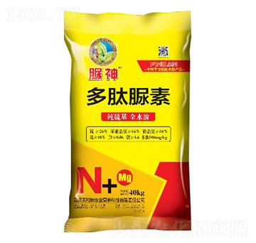 ��������-����-����