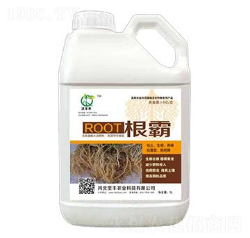 5L����-���S��-��(ji��n)�S�r(n��ng)�I(y��)