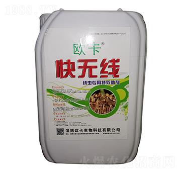 ���x�������� ��o(w��)�� �W��