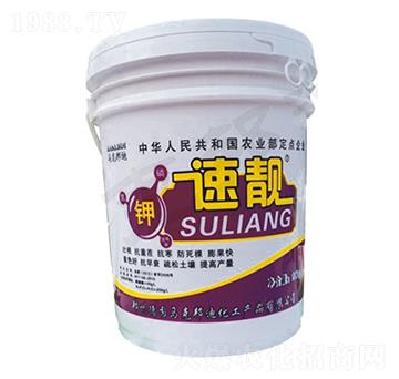 ���n-�R�˰��