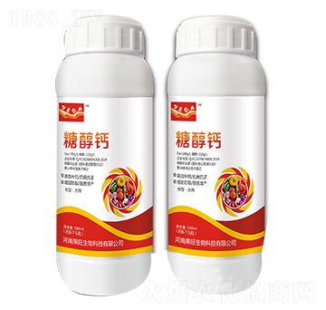 �Ǵ��}-��������