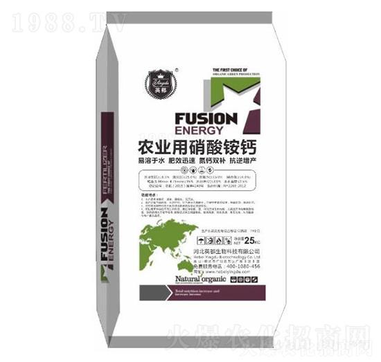 �r(n��ng)�I(y��)�������@�} Ӣ������1