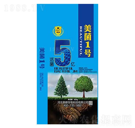 ����1̖ Ӣ������1