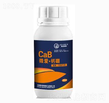 ΢�ۡ��}��τ�-�|���r(n��ng)�I(y��)