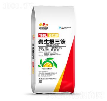 �������@��20-20-20 ���������@ �ƻ���(r��n)��