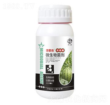 ƿ�b̿�Ҳ�����΢�������-ʥ���r(n��ng)-��ʥ�r(n��ng)�I(y��)