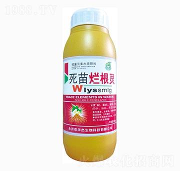 ���砀���`-�A������