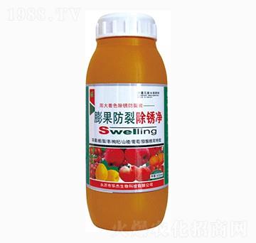 ������ѳ��P��-�A������