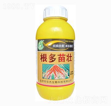 �������-�A������