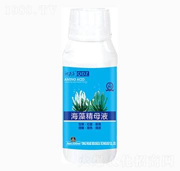 ���徫ĸҺ-�A������