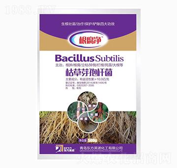 �ݲ�ѿ�ߗU��-������-�_(k��i)��(y��u)�r(n��ng)�I(y��)