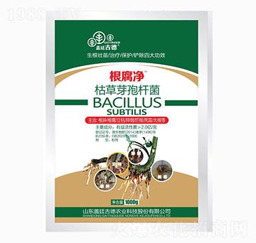 1000g�ݲ�ѿ�ߗU��-������-�_(k��i)��(y��u)�r(n��ng)�I(y��)