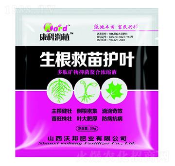 ���������o(h��)�~ �ְ�ʘI(y��)