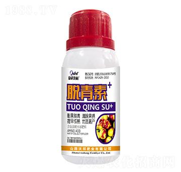 Ó���� �ְ�ʘI(y��)