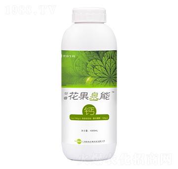 ��������Ȫ���}-�������