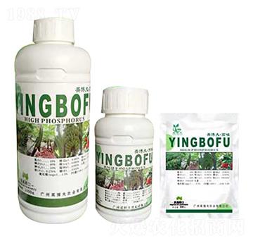 �����ʹ���Ԫ��ˮ�ܷ��� Ӣ����