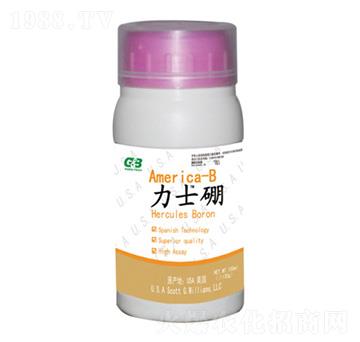 ľ�|(zh��)�Ǵ����w��-��ʿ��-���A��