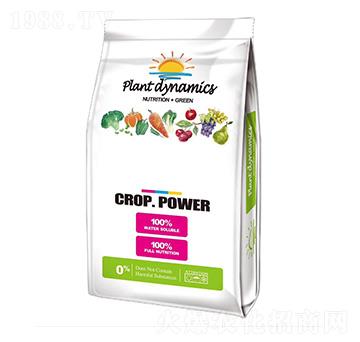 ����(gu��)���ּt-���A��