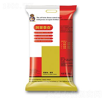 �_���������-����̩��-���A��