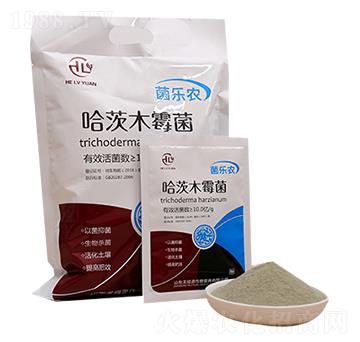 ����ľù��-�����r-�̾GԴ