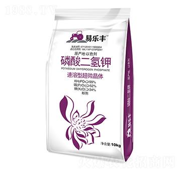 ��������-�ט��S-��T����