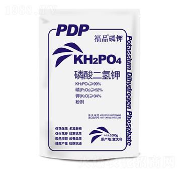 ��������-�������-��T����