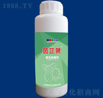 ΢�������-�����S-�{��r(n��ng)�I(y��)