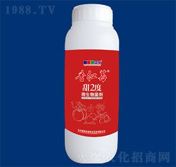 ΢�������-��2�ȸ����-�{��r�I(y��)