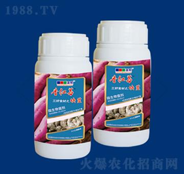 ΢��������K�oϵ��-��tݮ-�{��r�I(y��)