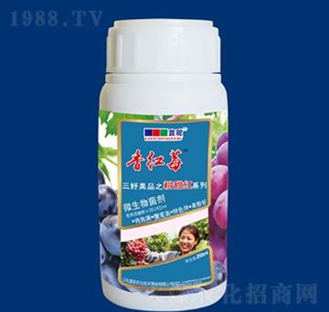 ΢�������-��tݮ��-�{(l��n)��r(n��ng)�I(y��)