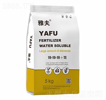 ����Ԫ��ƽ����19-19-19+TE-�ŷ�