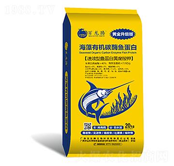 �����ЙC(j��)̼ø�~����-�����v