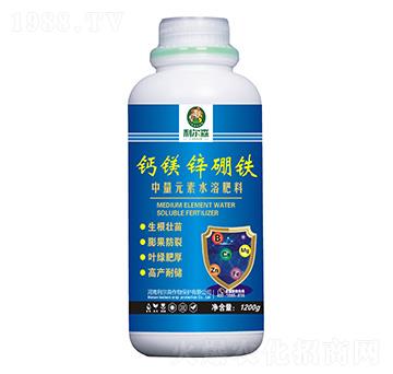 �}�V�\���F-����ɭ