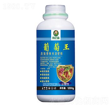 ��������ˮ�ܷ���-������-����ɭ