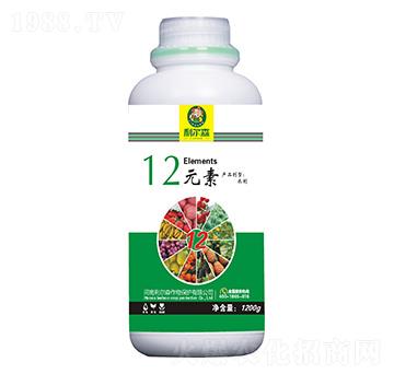 12Ԫ��-����ɭ