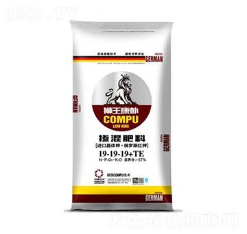 �������19-19-19+TE-�{������-�h�v�r(n��ng)�I(y��)