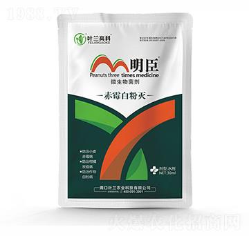 ��ù�׷ۜ�-����-�~�m�߿�