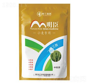 С�������ײ�-����-�~�m�߿�