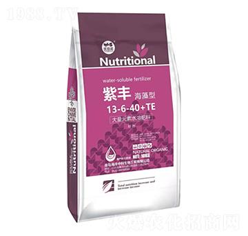 ����Ԫ��ˮ�ܷ�13-6-40+TE-�����п�