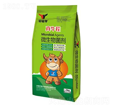 ΢�������-��ţ��-܎�@ţ