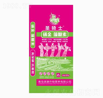 ̼��������-ʥ�Tʿ-���u�Z��