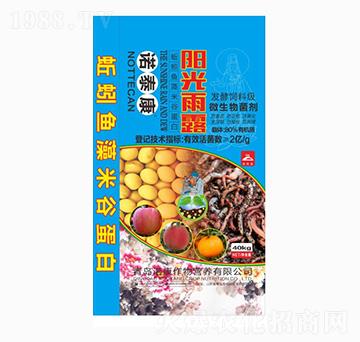 ����~(y��)���׹ȵ���-�Z̩��-���u�Z��