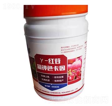 ���ɫ����-���u�Z��