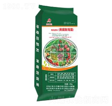 �S���ả���ЙC��-�����d�r(n��ng)�I(y��)