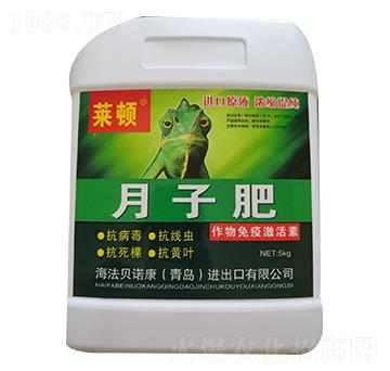 �������߼�����-���ӷ�-�R�D