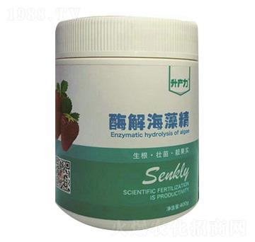 ��ݮ����-ø�⺣�徫-���a(ch��n)��