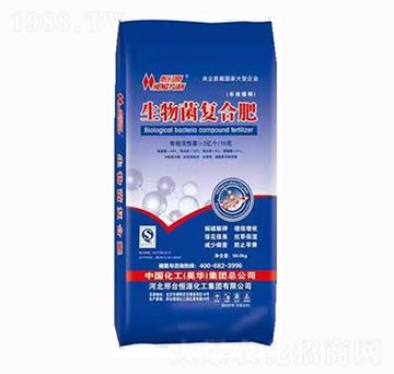 ������ͺϷ�-���󻯹�