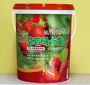 �ך����S�������-��ݮ�R����-ľ�~ʯ����