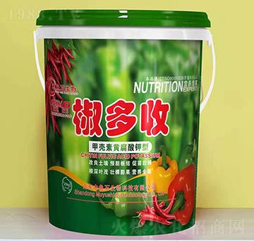 �ך����S�������-������-ľ�~ʯ����